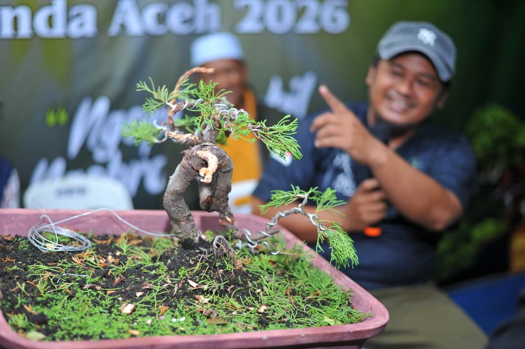 Bonsai Jadi Motor Ekonomi Kreatif Banda Aceh, PPBI Gelar Pameran dan Jemur 50 Koleksi Terbaik