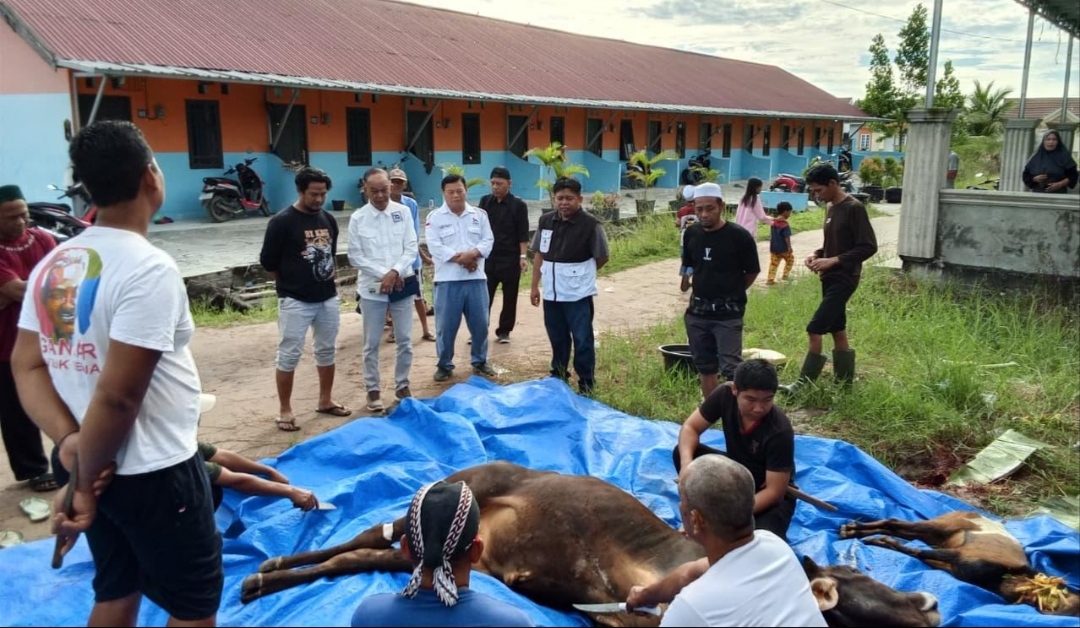 PSI Kalteng Sembelih Sapi Limosin di Palangka Raya, 1 Ekor Hewan Kurban Didistribusikan ke Warga Kompleks Assalam