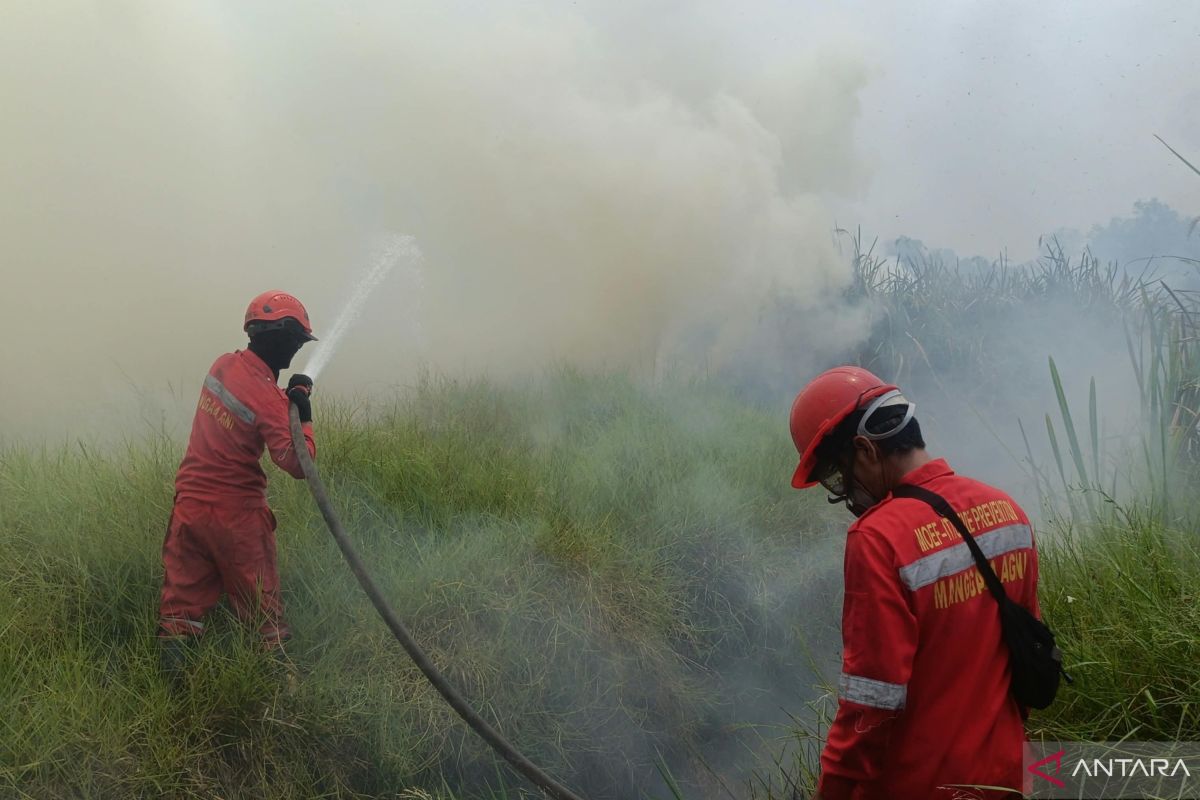 Manggala Agni Padamkan Karhutla 25 Hektare di Karya Jaya Palembang, Helikopter Water Bombing Dikerahkan