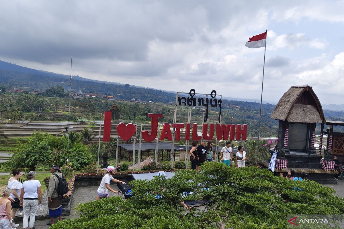 Turis di Jatiluwih Kini Bisa Ikut Menanam Padi hingga Bersepeda, Manajer Target Durasi Wisata Lebih Lama