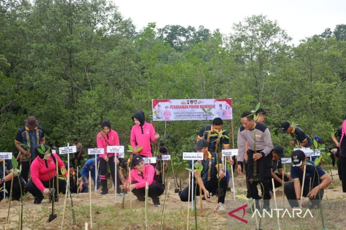 Polres Penajam Paser Utara Tanam 1.000 Bibit Mangrove di Pantai Nipah-Nipah Peringati Hari Bhayangkara ke-80