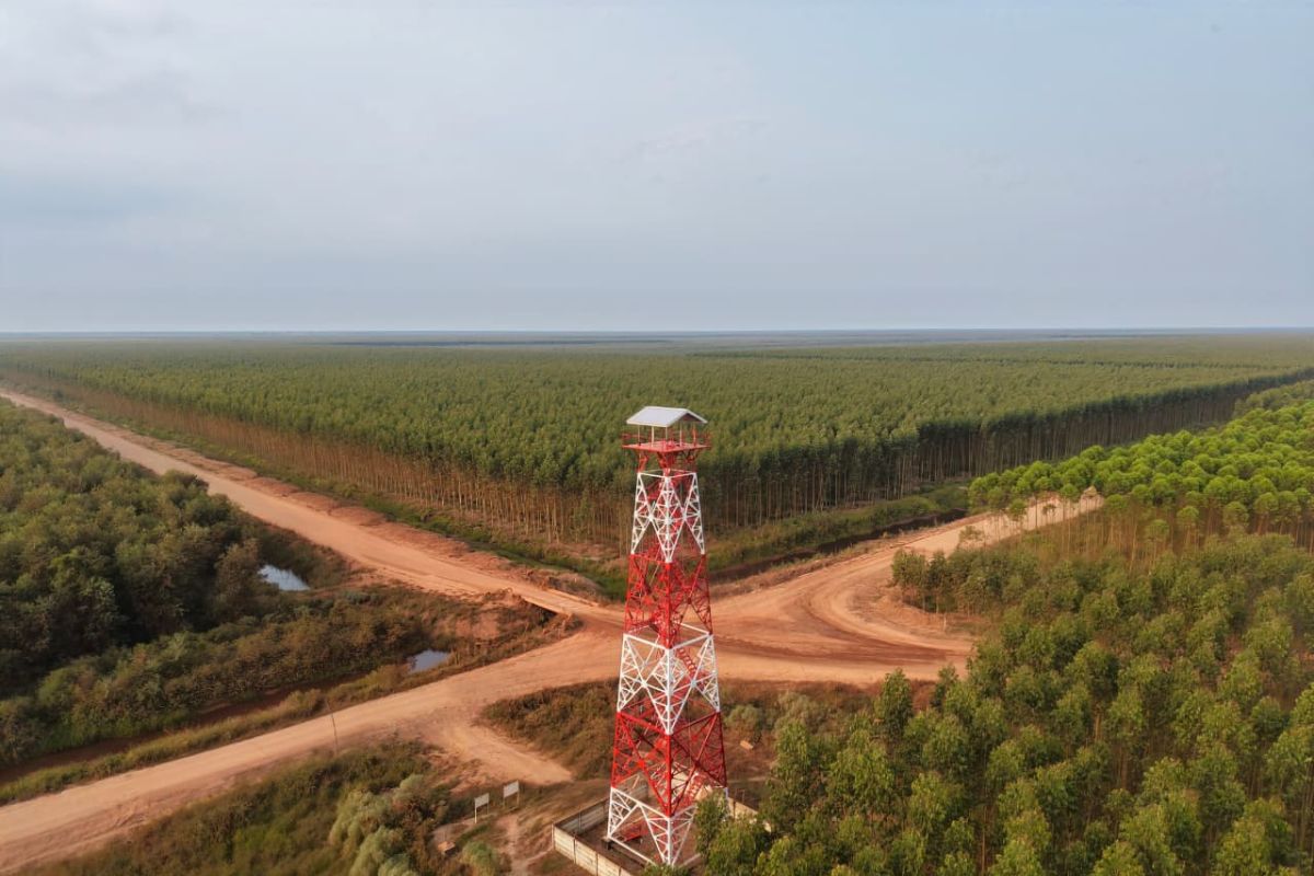 Menara Api 32 Meter di Musi Banyuasin Dipantau 24 Jam, Jangkauan Penglihatan 7-10 Kilometer
