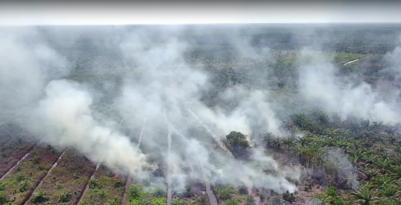 Karhutla Mulai Meluas di Sumsel: 316 Hotspot Terdeteksi, Helikopter Water Bombing Dikerahkan di Tiga Daerah