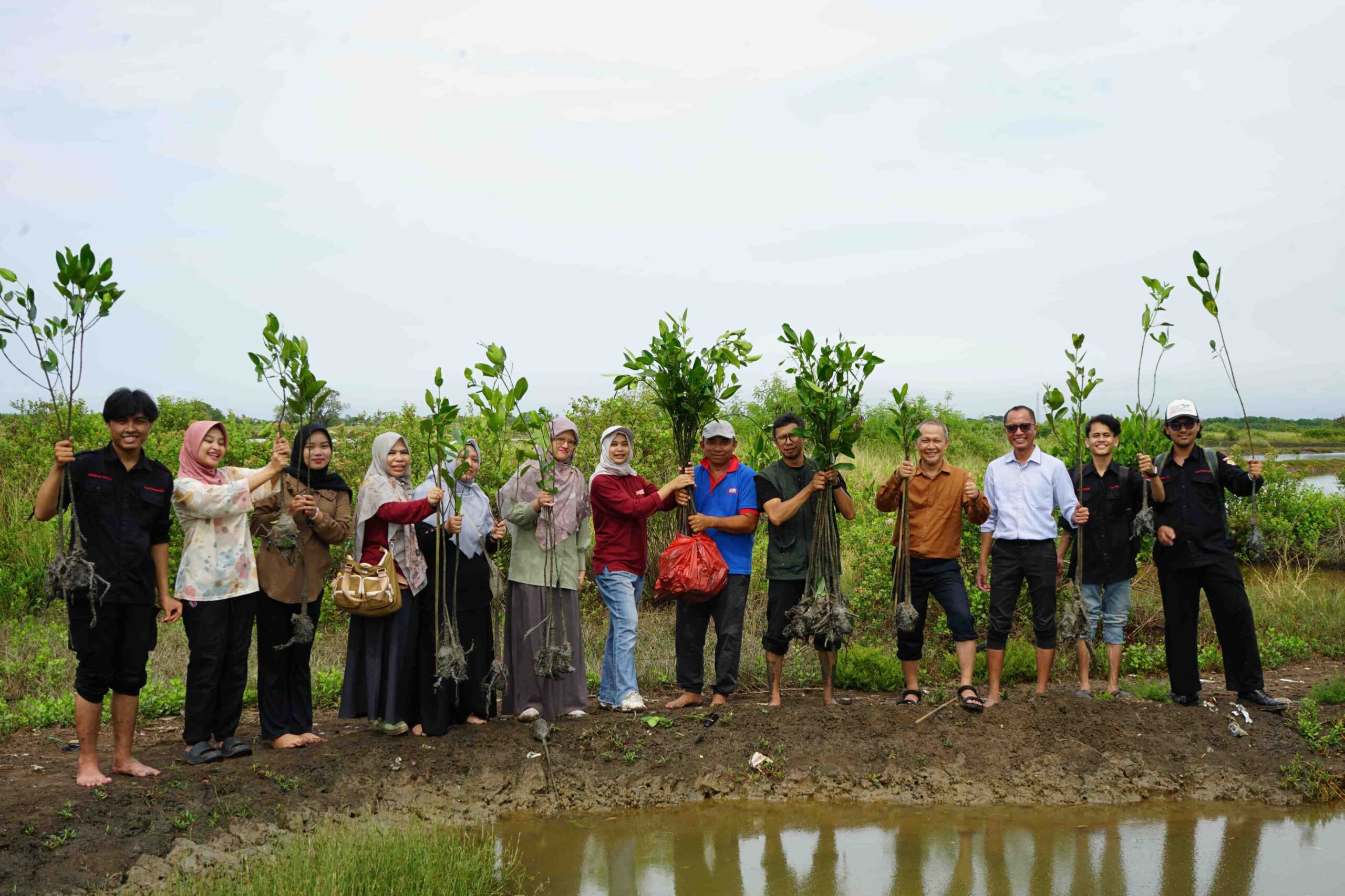 Aksi Tanam Mangrove di Pesisir Sawah Luhur, Climate Action Center UNSERA Libatkan 13 Mahasiswa untuk Serap Karbon Biru