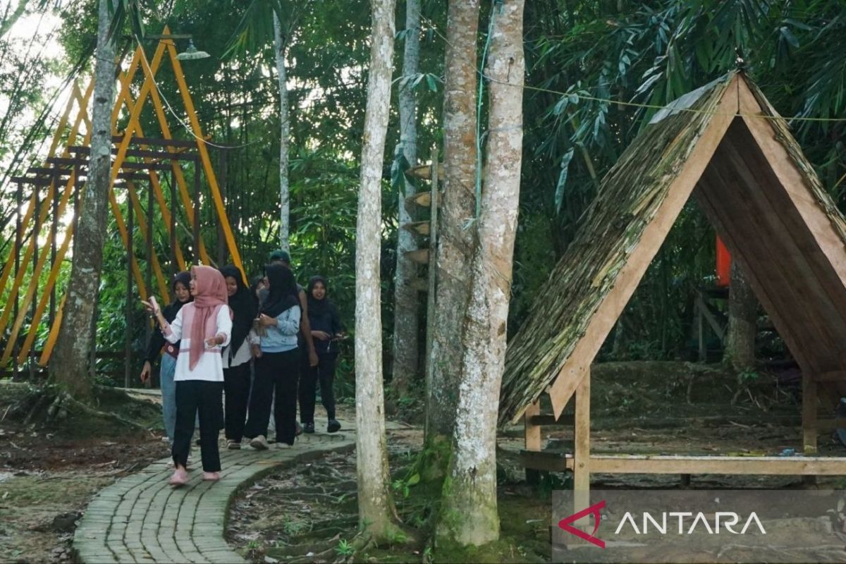 Warga Kalimantan Timur Raup Cuan dari Ekowisata Hutan, Omzet Lapak Capai Rp300 Ribu Per Minggu