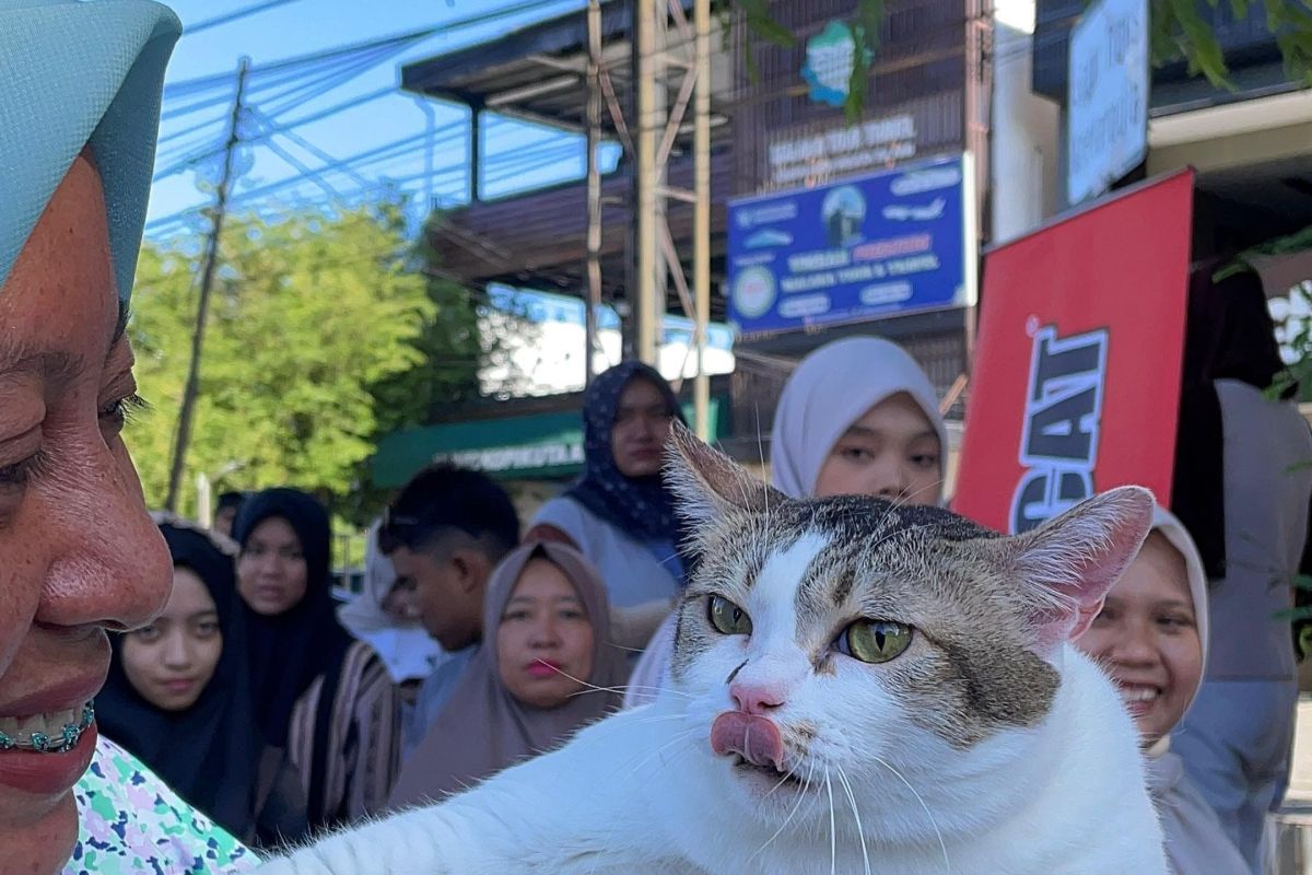 Komunitas Power Cat Banda Aceh Gelar Fun Day Minggu Pagi, Jadi Ajang Silaturahmi Pecinta Kucing dari Seluruh Aceh