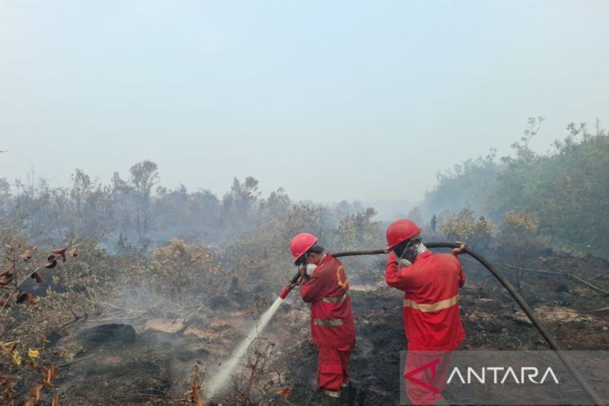Manggala Agni Terobos Asap Pekat Padamkan Karhutla 10 Hektare di Gelumbang Muara Enim