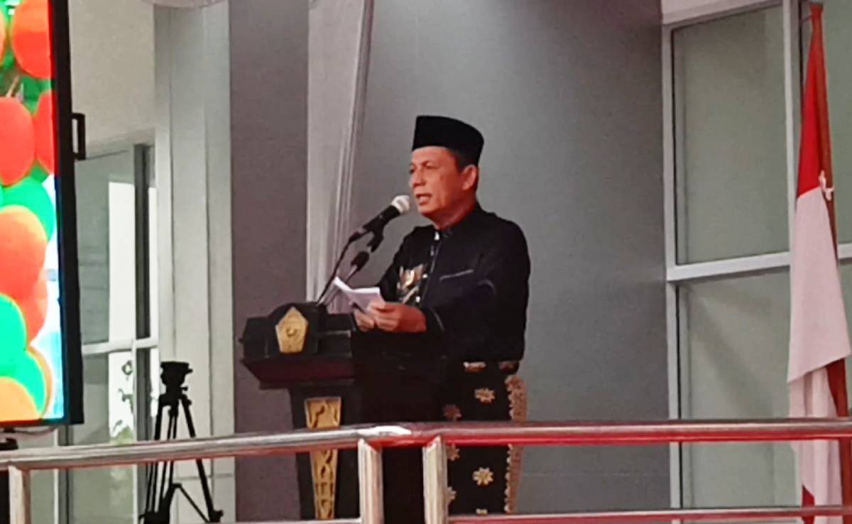 Gubernur Ansar Dorong FTZ Penuh untuk Karimun dan Bintan, Setara dengan Batam Demi Tarik Investasi Besar