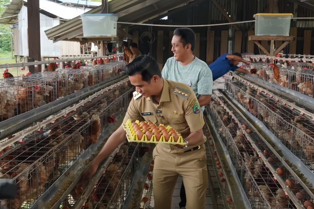 Bupati Nunukan Irwan Sabri Tinjau Peternakan Ayam di Nunukan Tengah, Peternak Keluhkan Pasokan Listrik