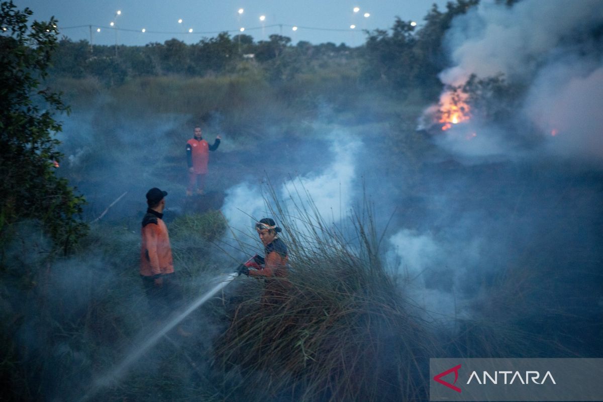 Kemenhut Libatkan 21 Pemegang PBPH dan KPH di Jambi Wujudkan Komitmen Zero Karhutla