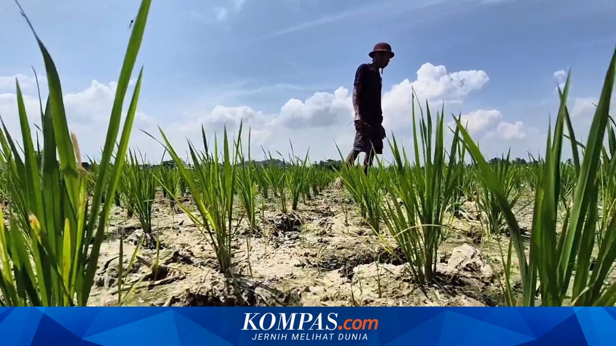 Sumur Warga di Perumahan Alam Asri Bandar Lampung Kering, 600 Jiwa Krisis Air Bersih