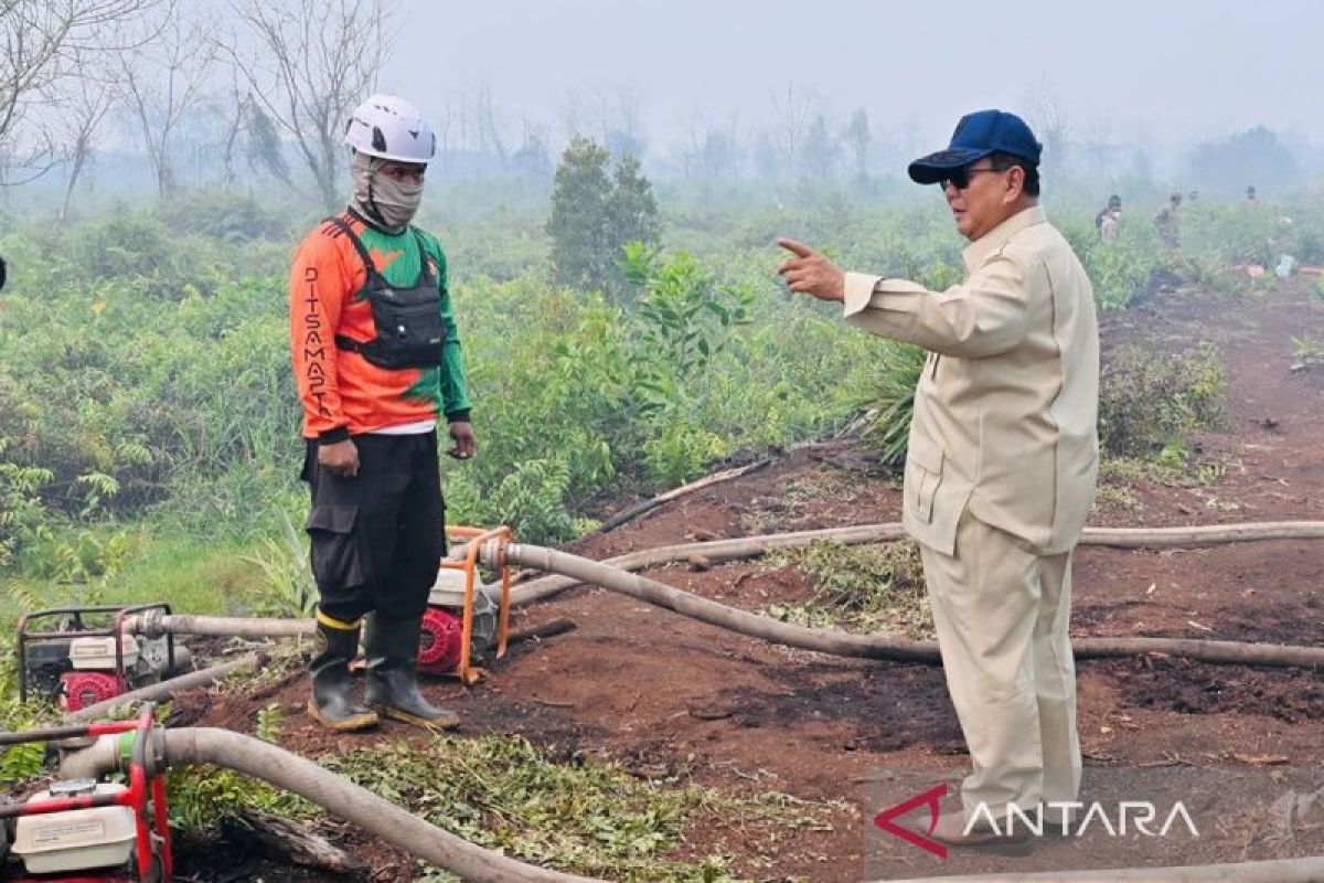 Presiden Prabowo Tinjau Penanganan Karhutla di Riau, Jambi, dan Sumatera Selatan; 2.894 Titik Panas Terdeteksi
