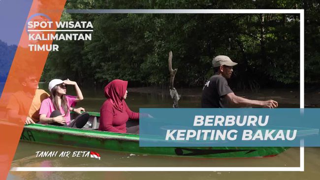 Berburu Kepiting Bakau di Kalimantan Timur, Selebriti Ikut Warga Lokal Susuri Sungai dengan Perahu Tradisional
