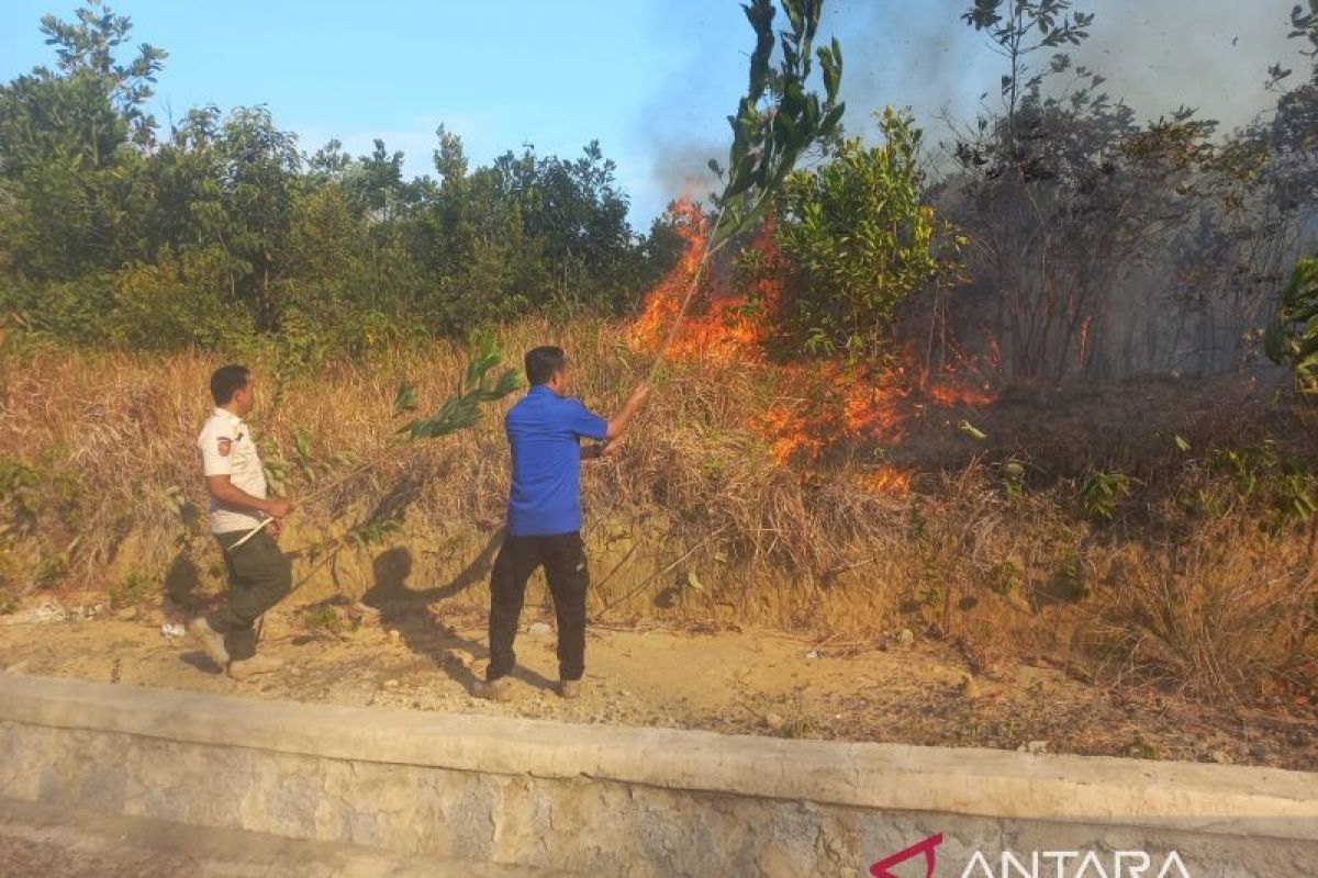Karhutla di Bangka Meluas Capai 462 Hektare, Satgas Sebut Armada Damkar Terbatas