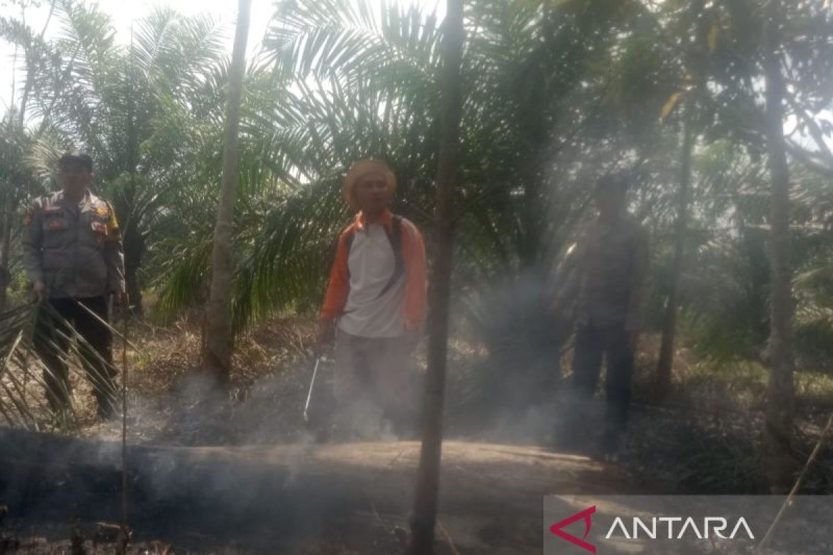 BPBD OKU Padamkan Kebakaran Lahan Sawit 1,5 Hektare di Lubuk Batang, Api Diduga dari Puntung Rokok