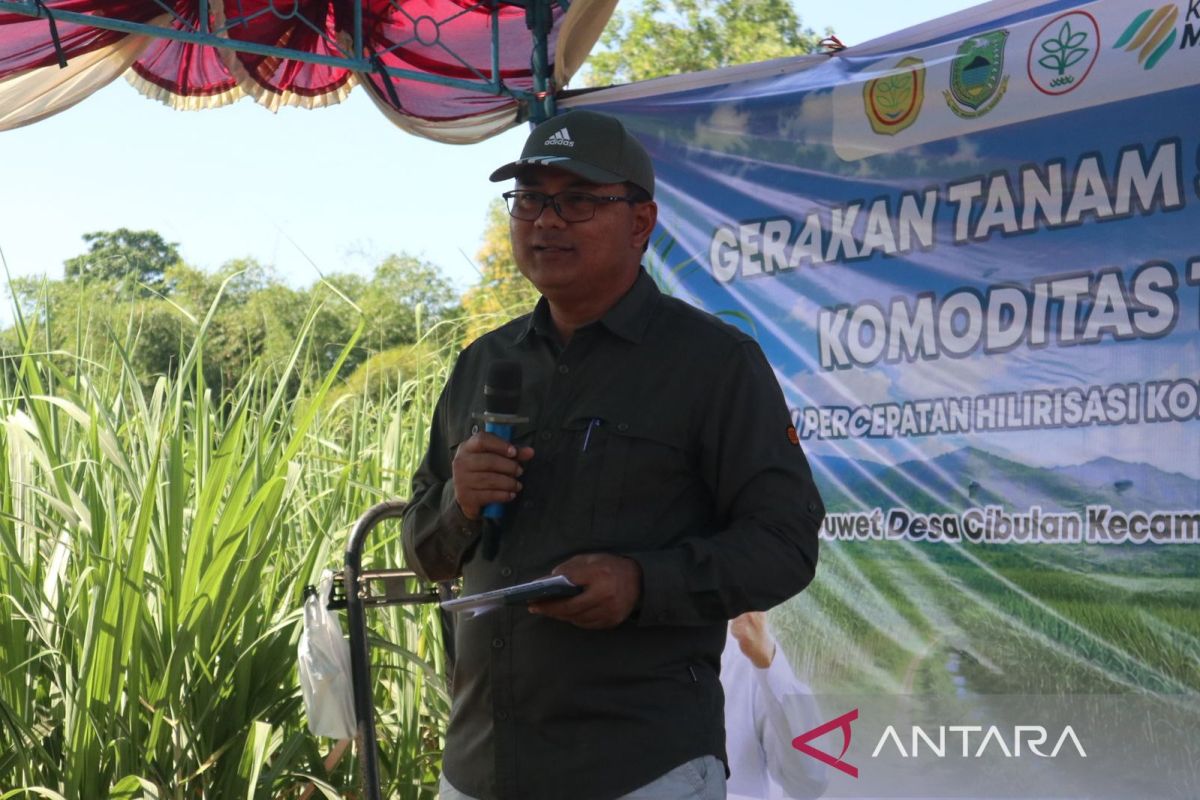 Target Tebu Kuningan 2026 Tembus 267 Hektare, Pemkab Siapkan Pendampingan dan Bantuan Benih Rp10 Juta per Hektare