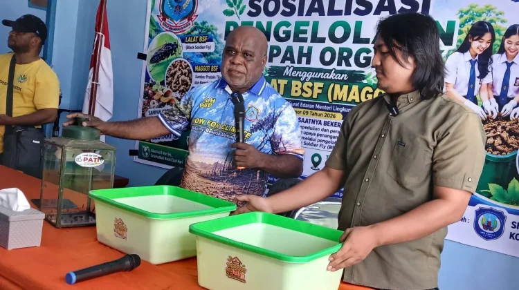 Hari Lingkungan Hidup, DLH Papua Barat Daya Tanam 400 Pohon dan Edukasi Pelajar di Kota Sorong