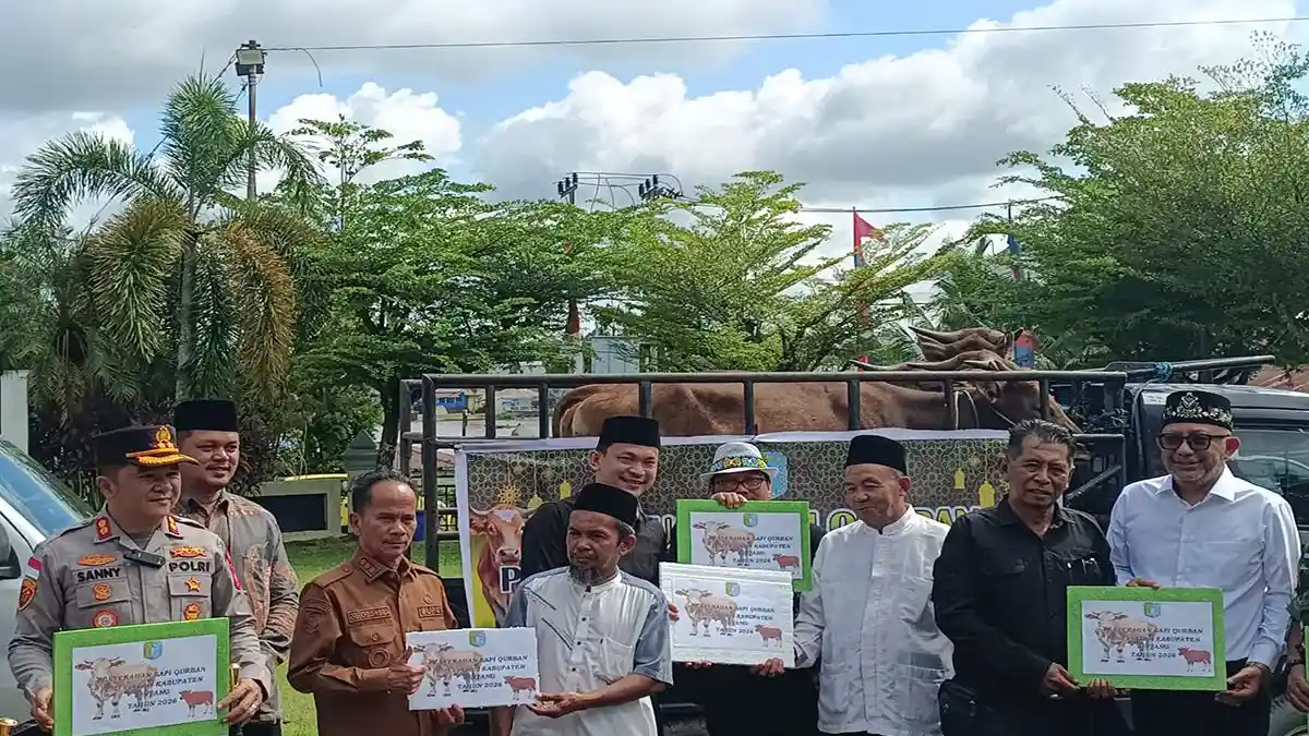 Bupati Sintang Sebut 8 Sapi Kurban Pemkad Adalah Titipan Warga Pembayar Pajak, Bukan dari Pejabat