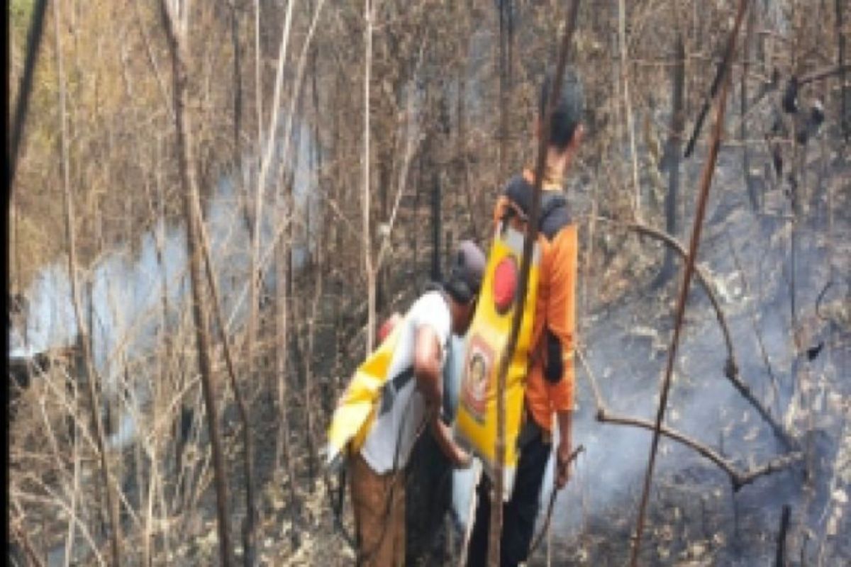 BPBD Sumut Catat 308,87 Hektare Lahan Terbakar Karhutla Januari–Agustus 2026, 52 Kejadian di 14 Kabupaten/Kota