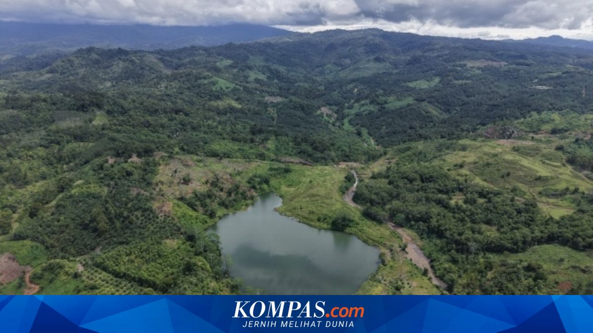 648 Hektare Lahan Tambang di Bengkulu Terbengkalai, 40 Lubang Raksasa Menganga Tanpa Reklamasi