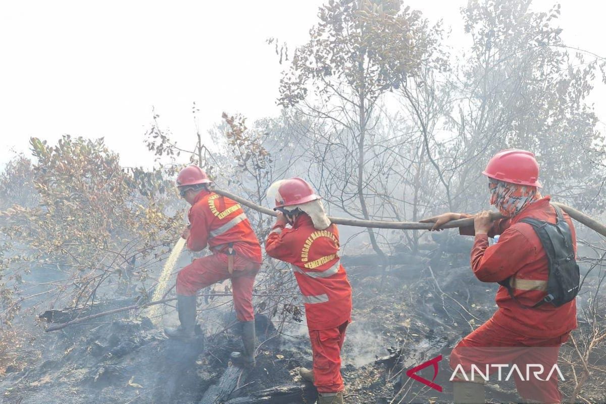 Karhutla di Gelumbang Muara Enim Padam Setelah 26 Hari, 13,6 Hektare Berhasil Diselamatkan dari Si Jago Merah