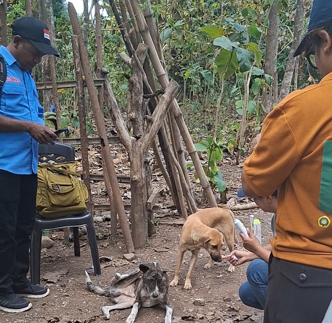 4 Kampus Besar Kolaborasi Hadirkan Air Bersih dan Penguatan Kesehatan Hewan di Desa Fatukoko, TTS NTT