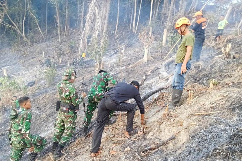 Karhutla 10 Hektare di Donggala Padam, 169 Personel Gabungan Dikerahkan dan Drone Diterbangkan