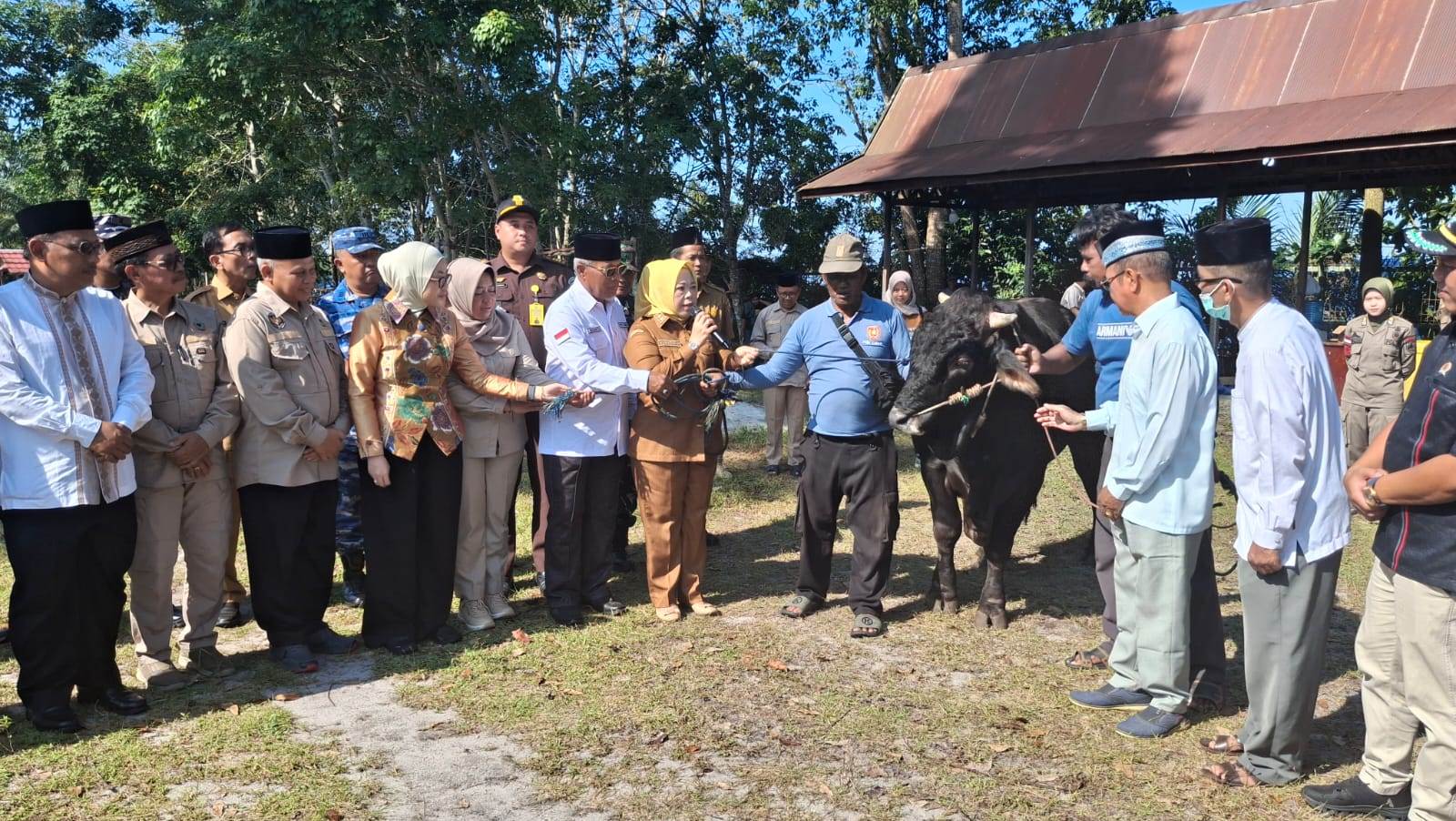 Pemkab Kotawaringin Barat Salurkan 40 Ekor Sapi Kurban untuk Masyarakat di 6 Kecamatan, Total Capai 163 Sapi