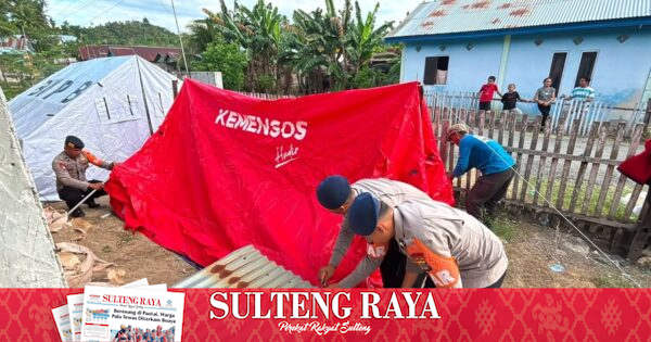 Brimob Bantu Dirikan Tenda Darurat Kemensos untuk Hunian Sementara Korban Gempa Buol, Puluhan Warga Mulai Mengungsi