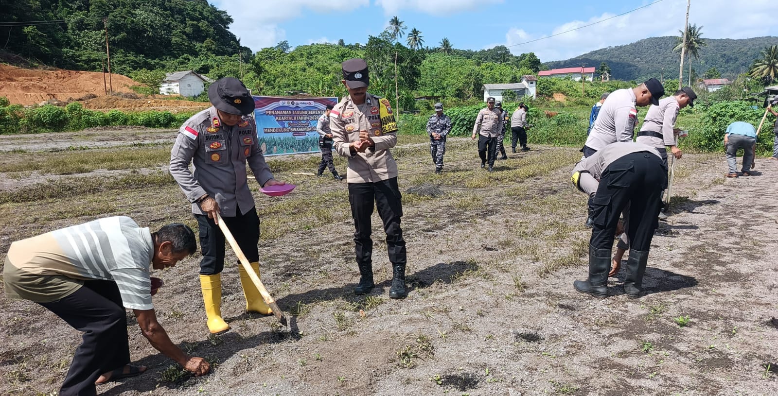 Polsek Jemaja Tanam Jagung di Lahan Bukit Padi Anambas, Target 3 Hektare untuk Ketahanan Pangan