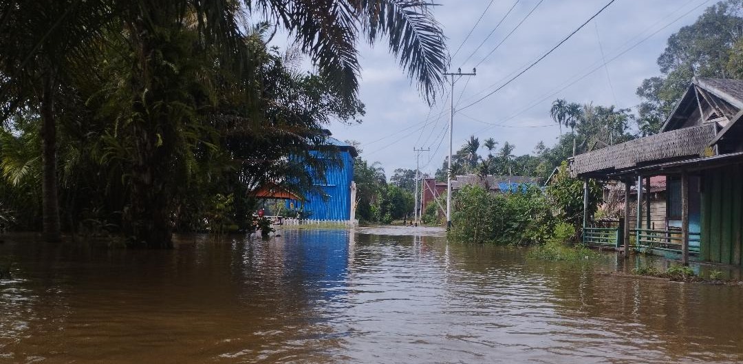 Banjir Rendam 80 Rumah di Desa Sungai Hanya Kotim, Ketinggian Air Capai 1,5 Meter
