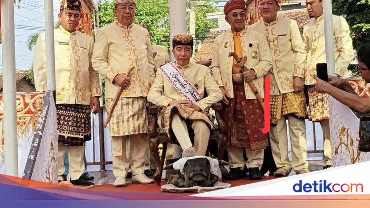 Polemik Adat Lampung: PDIP Kritik Jokowi Injak Kepala Kerbau, PSI Balas Tuding Penghinaan Budaya