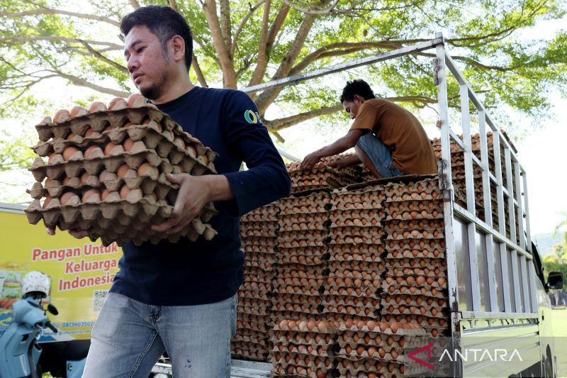 Pemprov Sulawesi Barat Gelar Gerakan Pangan Murah di Mamuju Jelang Idul Adha, Harga Lebih Rendah dari Pasar