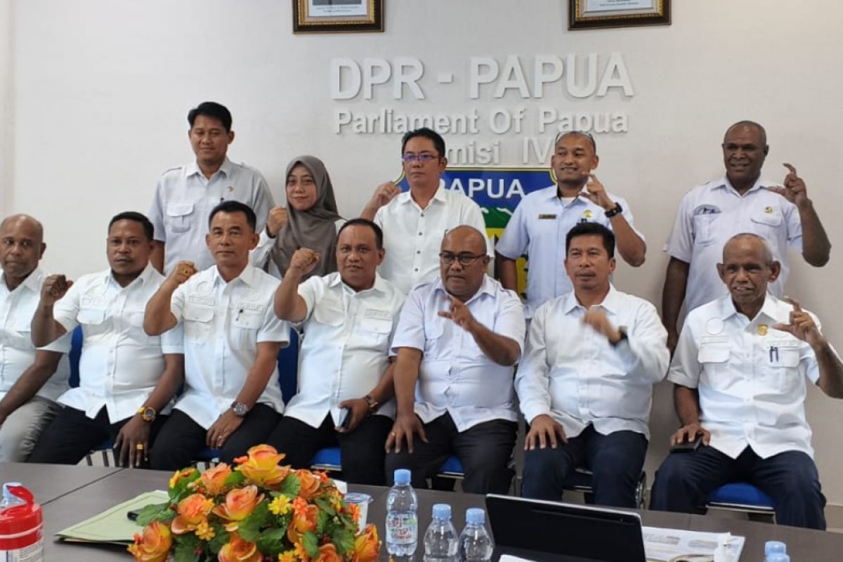 Pemprov Papua Prioritaskan Infrastruktur Pertanian dan Perikanan di 4 Kabupaten, Anggaran Bertambah Rp 227 Miliar