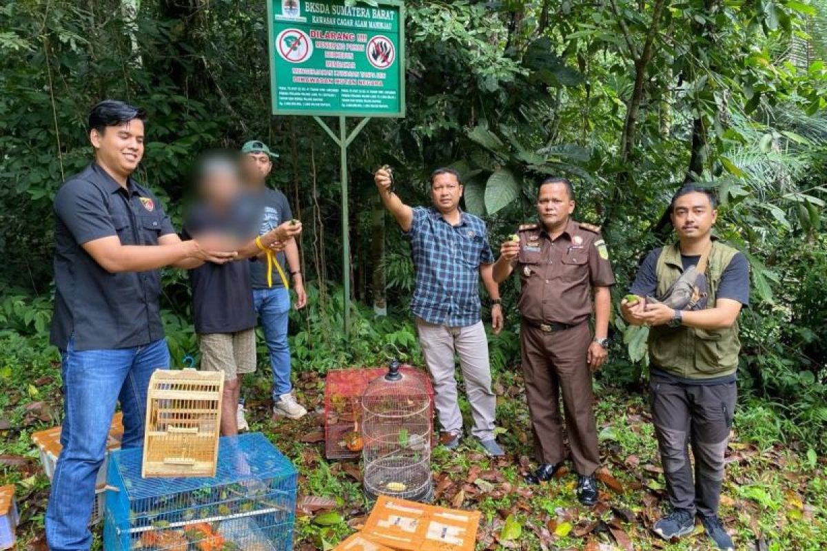 Polres Agam dan BKSDA Sumbar Lepasliarkan 244 Burung Dilindungi, Tersangka Penjual Satwa Antarprovinsi Dibekuk