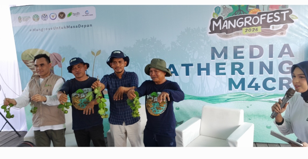 6.120 Hektare Mangrove di Kaltim Direhabilitasi, Desa Sepatin Jadi Bukti Tambak Udang Lebih Produktif