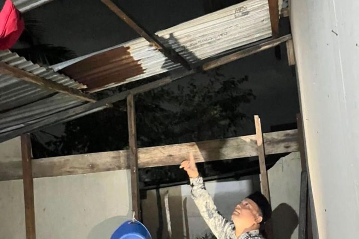 7 Rumah Warga Rusak Diterjang Puting Beliung di Aceh Timur, Pohon Tumbang Tutup Jalan Lintas Julok-Alue Ie Mirah