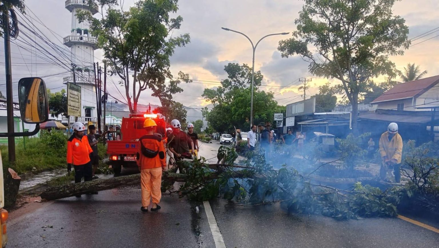 Pohon Tumbang Timpa Jalan Utama di Mongkonai Kotamobagu, Akses Warga Macet Total Selama Evakuasi