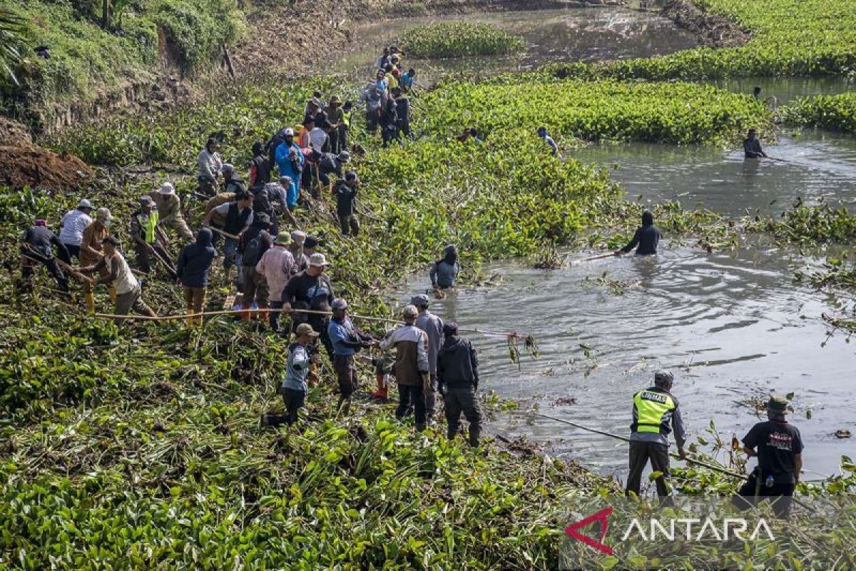 Pemkab Bandung Barat Kerahkan Petugas Gabungan Bersihkan Eceng Gondok di Aliran Sungai Citarum Cililin