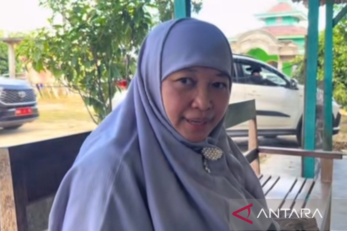Pemkab Bangka Tengah Perluas Diversifikasi Hortikultura, Wortel Kini Berhasil Dibudidayakan di Lahan Dataran Rendah
