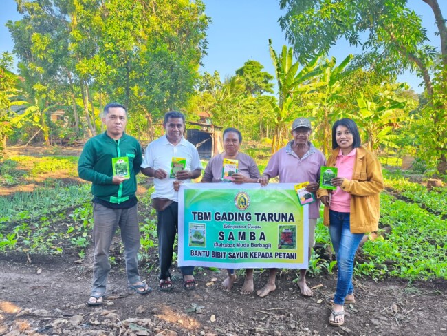 TBM Gading Taruna dan SAMBA Salurkan Bibit Brokoli hingga Labu ke Petani Bello, Dorong Ketahanan Pangan di Kupang