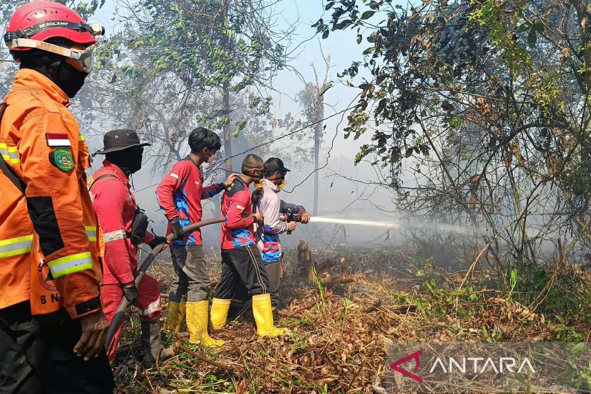 Bupati Natuna Pimpin Satgas Karhutla, 20 Hektare Lahan Terbakar sejak Agustus 2026