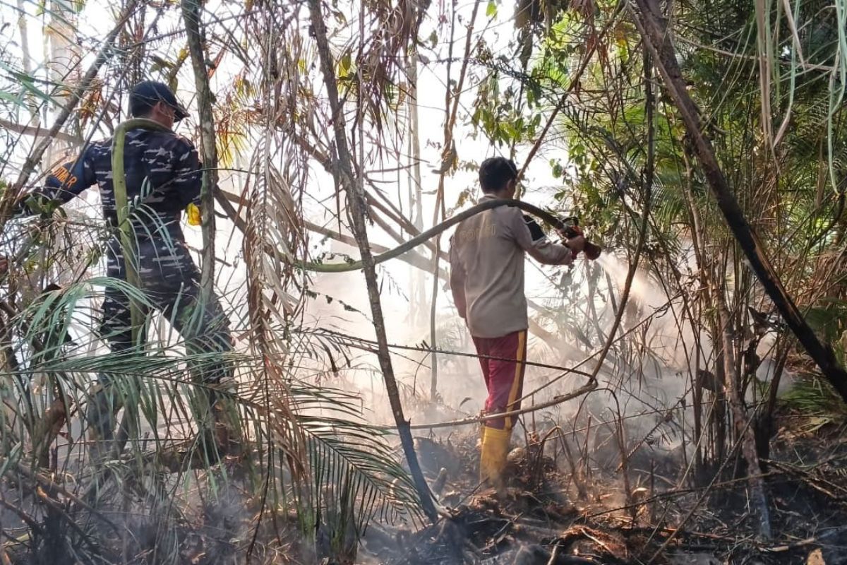 Karhutla di Lingga Hanguskan 12 Hektare Lahan Gambut, 8 Hektare Berhasil Dipadamkan
