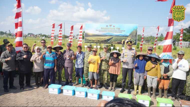 Panen Raya Ketahanan Pangan TNI di Kubu Raya, Kejati Kalbar Ikut Perkuat Sinergi Lintas Sektor Wujudkan Swasembada