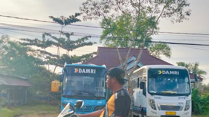 Jadwal Damri Tana Tidung 2 Juni 2026: Rute Tideng Pale-Tanjung Selor, Tarif Mulai Rp50.000