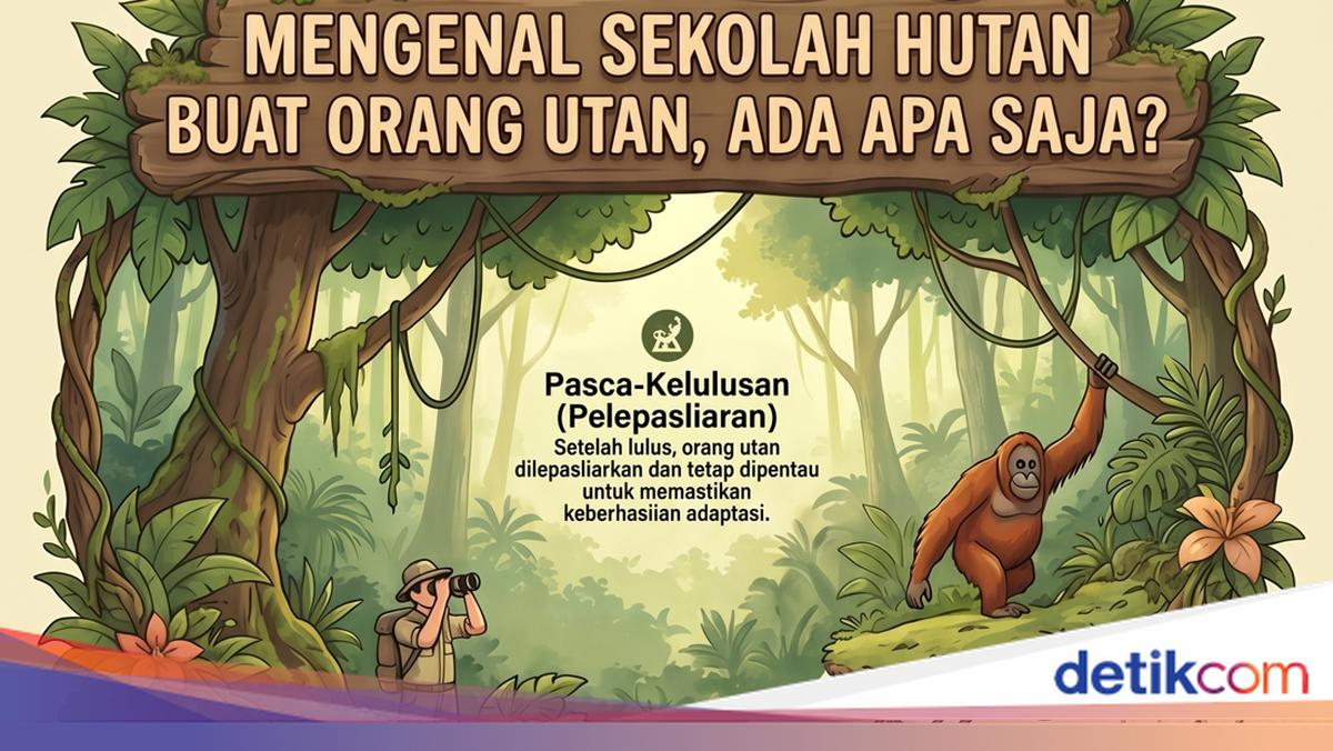 Sekolah Hutan Orang Utan di BOSF Palangka Raya: Ada Jenjang dari Baby School hingga Universitas, Ini Materi Pelajarannya
