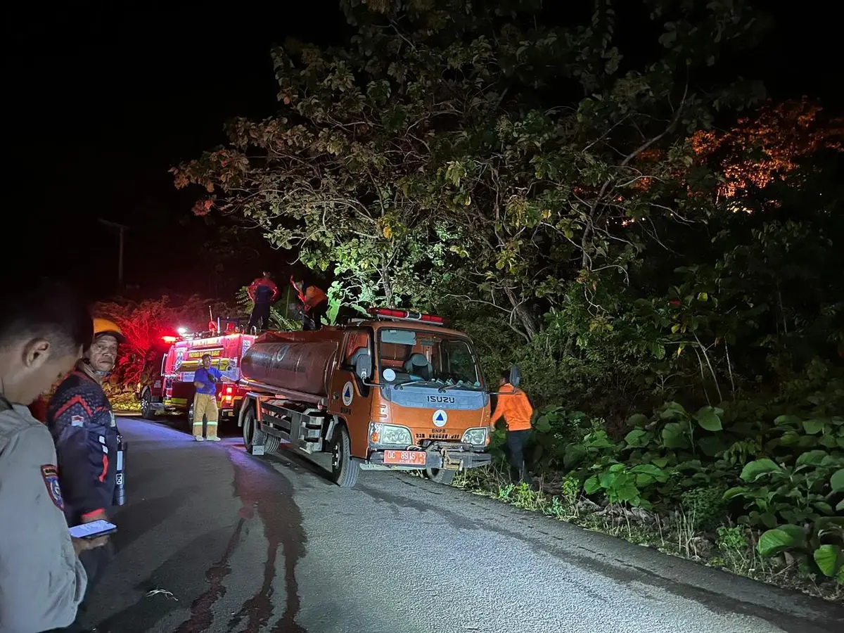 BPBD Sulbar Berjibaku Padamkan Kebakaran Hutan di Mamuju, Api Meluas ke Lahan Warga
