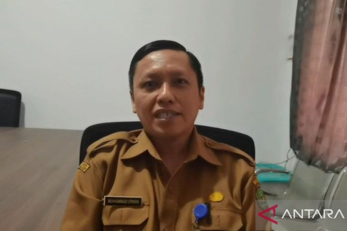 Ayam Pedaging dan Petelur Jadi Penopang Ekonomi Peternak Tapin, Permintaan Pasar Terus Meningkat