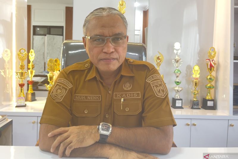 Pemprov Sulteng Siapkan 9,8 Juta Bibit Kakao Unggul untuk 266.670 Hektare Lahan, Petani di Poso dan Parigi Moutong Jadi Prioritas