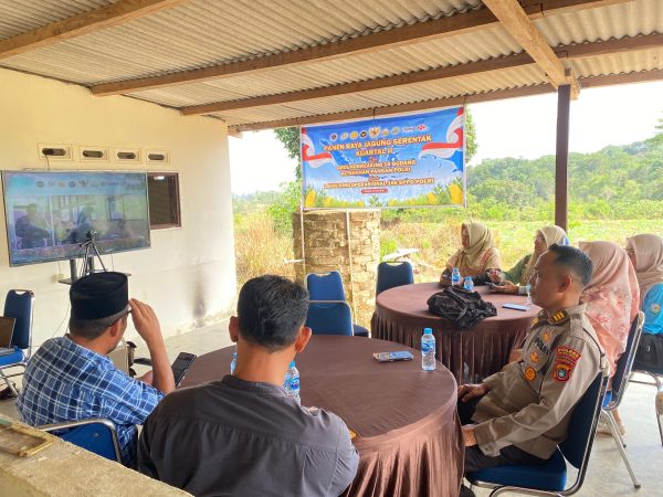 Polres Bangka Barat Ikuti Panen Raya Serentak Nasional dari Tuban, Dukung Ketahanan Pangan